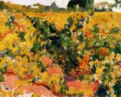 Study of Vineyard - 华金·索罗利亚·巴斯蒂达